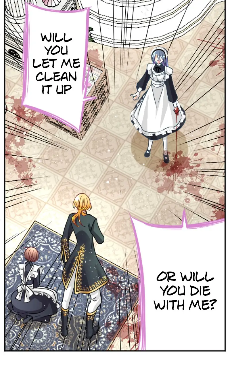 36061146 800 1346 125444